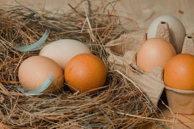 Диетолог Гинзбург: это самый вредный способ употребления яиц