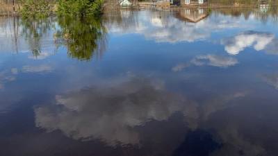 Вильфанд: Половодье может ожидаться на реках Московской области