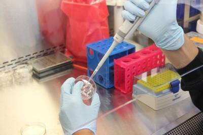 Израильские ученые придумали спрей для носа, спасающий от коронавируса и мира