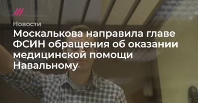 Москалькова направила главе ФСИН обращения об оказании медицинской помощи Навальному