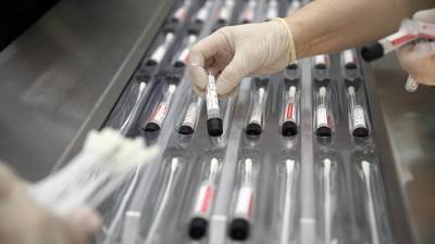В России провели более 121,3 млн тестов на коронавирус