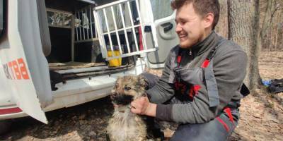 Была испуганная и мокрая. В Харьковской области спасли собаку, которая неделю плавала на льдине