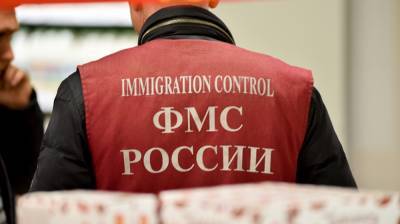 Пандемия позволила более 3,3 млн иностранцев узаконить свое пребывание в России