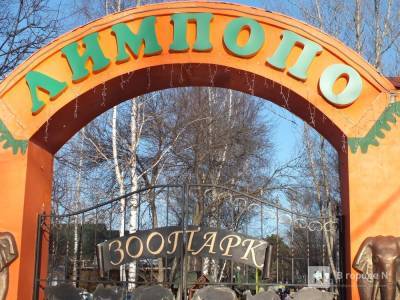 Нижегородский зоопарк «Лимпопо» перешел на аварийный режим работы
