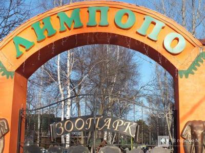 Нижегородский зоопарк Лимпопо перешел на аварийный режим работы