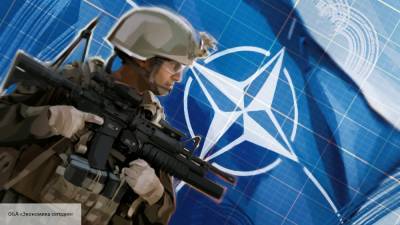 На сайте НАТО появилось предупреждение для украинцев о начале операции Svinosotnya