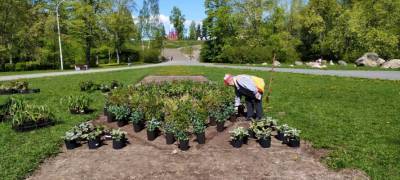 Жителям Петрозаводска предлагают заработать на уборке и благоустройстве города