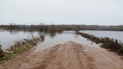 Паводок в Саратовской области: затоплено два моста, уровень воды растет