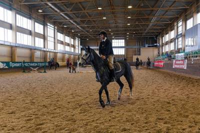 В Смоленске собираются проводить сборы российских команд по конному спорту