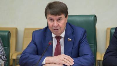 Сенатор Цеков прокомментировал слова Кравчука о «враждебности» между РФ и Украиной