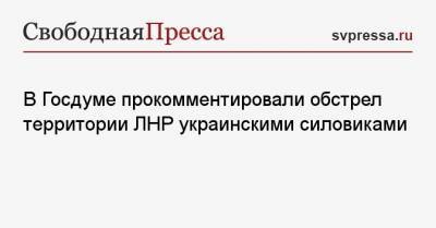 В Госдуме прокомментировали обстрел территории ЛНР украинскими силовиками