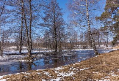 Синоптики рассказали о погоде в Смоленской области 4 апреля