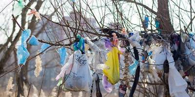 В сети опубликовали фотографии гор мусора на Троещине, Киев - ФОТО - ТЕЛЕГРАФ