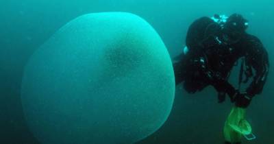 Исследователи раскрыли тайну загадочных подводных пузырей (видео)