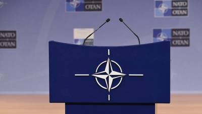 Крымский депутат призвал НАТО отказаться от смертельного риска