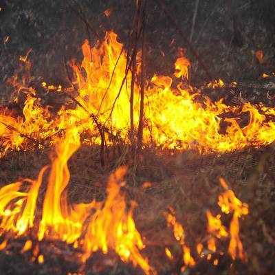 Крупный степной пожар в Хакасии потушен