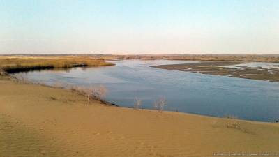 Из-за маловодья на Амударье Туркменистан испытывает дефицит поливной воды