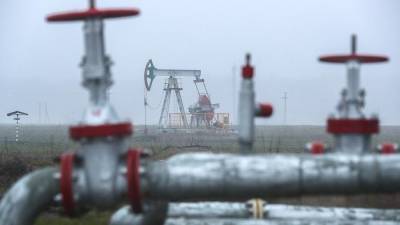 Глава Роснедр рассказал о запасах нефти в России