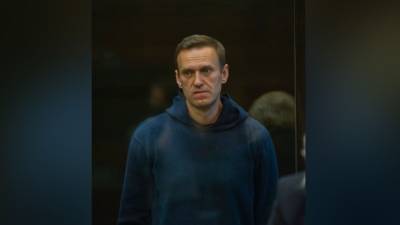Навальный может предстать перед судом за оскорбления в адрес Марии Бутиной
