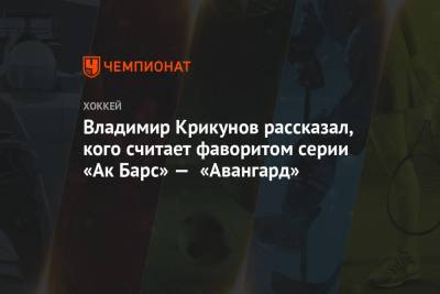 Владимир Крикунов рассказал, кого считает фаворитом серии «Ак Барс» — «Авангард»