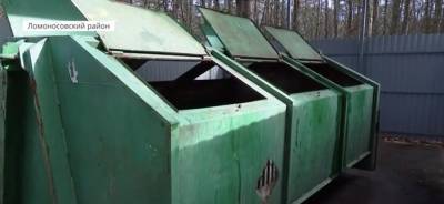 В Ленобласти разработают единый стандарт для мусорных площадок