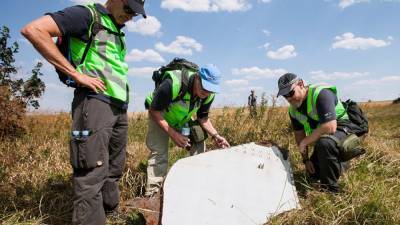 Юрий Антипов указал на реальное отношение голландцев к делу MH17