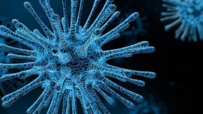 Выявлены новые уязвимости на поверхности коронавируса SARS-CoV-2