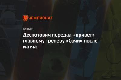 Деспотович передал «привет» главному тренеру «Сочи» после матча