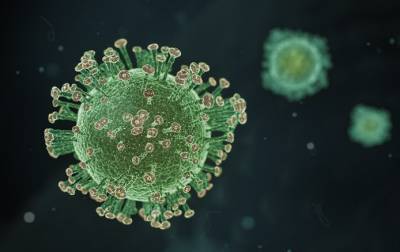 Роспотребнадзор: Не все тесты смогут выявить антитела после вакцинации «ЭпиВакКороной»