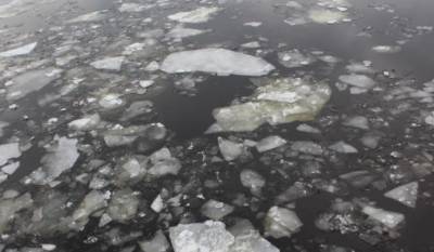 Неравнодушный петербуржец бросился в ледяную воду Малой Невки и спас тонувшего мужчину