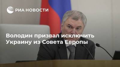 Володин призвал исключить Украину из Совета Европы