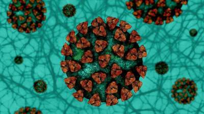 Индийский штамм коронавируса обнаружили еще в трех странах