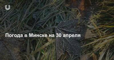 Погода в Минске на 30 апреля - news.tut.by - Минск - Минская обл.