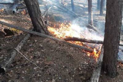 За сутки в Бурятии потушили 4 лесных пожара
