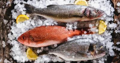В Беларуси в 2021 году запланировано произвести 17 тыс. т рыбы