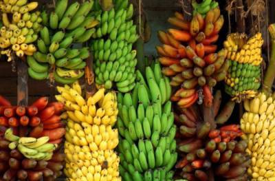 Что означают наклейки на фруктах: несколько интересных фактов о бананах