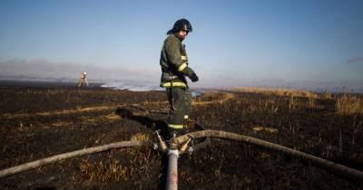 В Калининградской области установили особый противопожарный режим