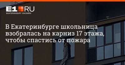 В Екатеринбурге школьница взобралась на карниз 17 этажа, чтобы спастись от пожара