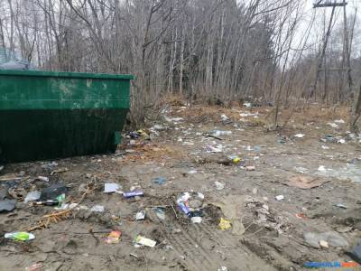 Дачники Южно-Сахалинска недовольны свалкой у мусорного контейнера