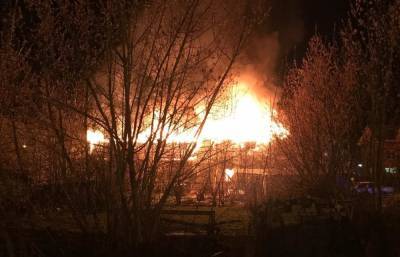 Семье зоозащитницы, чей дом сгорел ночью в Твери, требуется помощь