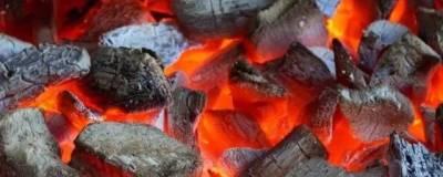 В Кургане ввели запрет на продажу угля для шашлыков и алкоголя во время майских праздников