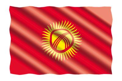 В Киргизии из-за конфликта с Таджикистаном эвакуировали более 20 тысяч граждан