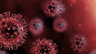 Украина стала второй в Европе по смертности от коронавируса
