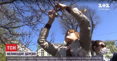 Писанки для спасения жизни: в Одессе создали благотворительное Пасхальное дерево
