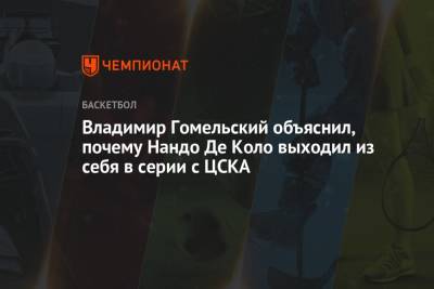 Владимир Гомельский объяснил, почему Нандо Де Коло выходил из себя в серии с ЦСКА