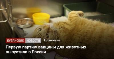 Первую партию вакцины для животных выпустили в России