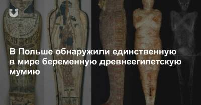 В Польше обнаружили единственную в мире беременную древнеегипетскую мумию