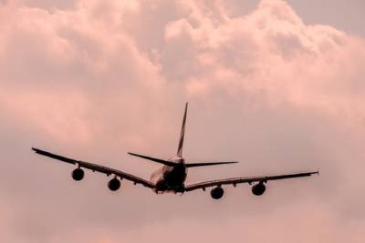 Летевший в Брюссель пассажирский самолет экстренно вернулся в Москву