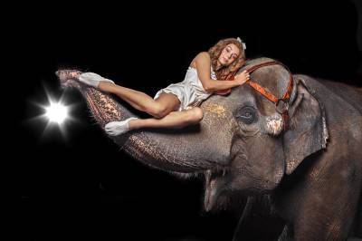 «Девочка и Слон» покорит сердца ростовских зрителей - privet-rostov.ru - Сочи