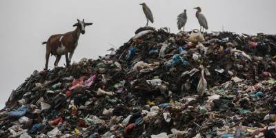 Минэнерго предложило вдвое сократить число мусоросжигательных заводов
